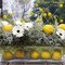 Glass Rectangle Vase (H:4" Open:16"x4") | Multiple Size Choices Rectangular Flower Vase Centerpieces | Decorative Wedding Centerpiece Vases | Glass Terrarium Container